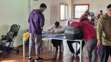 Se realizó la quinta campaña de castración y desparasitación de mascotas