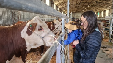 Estancia Pirinaica se llevó el premio al Gran Campeón de la exposición Hereford