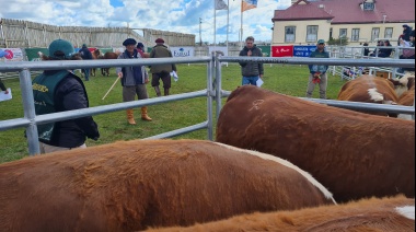 Estancia Pirinaica se llevó el premio al Gran Campeón de la exposición Hereford