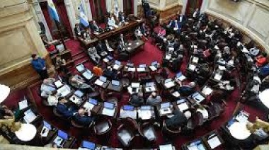 Senado: sin aumento, pero con "aguinaldo" de $2,5 millones en enero