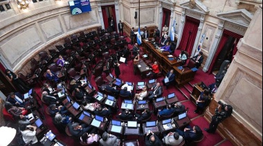 Sesión extraordinaria: Buscan eliminar las PASO de este año