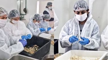 Faenaron 35 toneladas de carne bovina y ovina en Ushuaia
