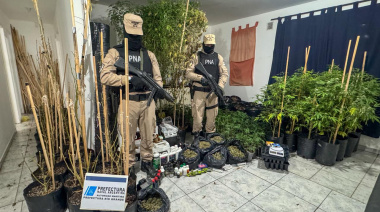 Prefectura realizó cinco allanamientos por drogas