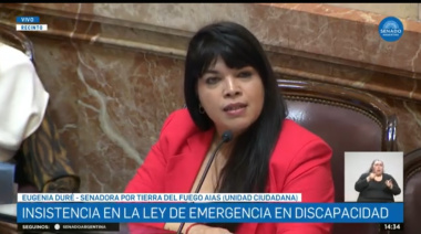 Duré en el Senado: “Con la discapacidad no, Milei”