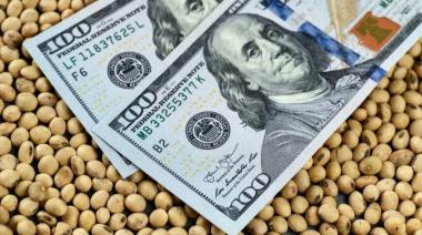 Se agotó el cupo de USD 7.000 millones: retroceso con retenciones al agro