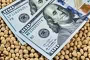 Se agotó el cupo de USD 7.000 millones: retroceso con retenciones al agro
