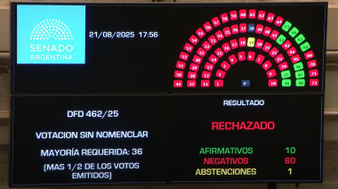 El Senado aprobó por abrumadora mayoría la emergencia en pediatría