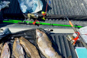 Detectaron pesca ilegal en el río Milna