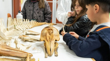 Más de 1.500 personas participaron en la Semana Fueguina de la Ciencia y la Tecnología