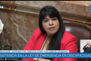 Duré en el Senado: “Con la discapacidad no, Milei”