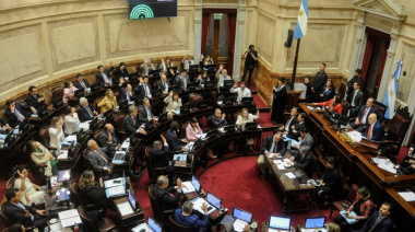 El Senado anuló el veto presidencial y restableció la Ley de Emergencia en Discapacidad