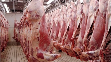 Productores temen por la sanidad ganadera y el empleo