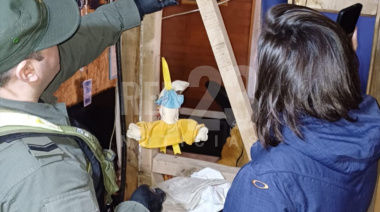 Gendarmería secuestró gran cantidad de cannabis en Río Grande