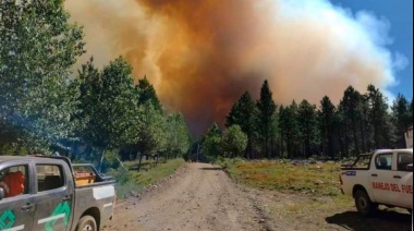 Ambientalistas indignados por la falta de avances en la investigación del incendio forestal