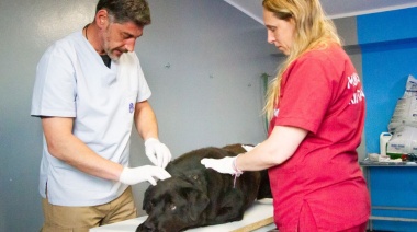 El municipio de Río Grande asiste a los animales rescatados en las termas de Tolhuin