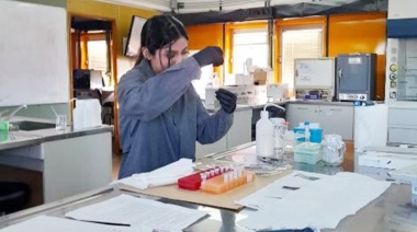 Investigación de la UNTDF amplía la base de datos de ADN ambiental de peces del Canal Beagle