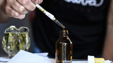 El Gobierno dará de baja los 300.000 permisos para cultivar marihuana del REPROCANN