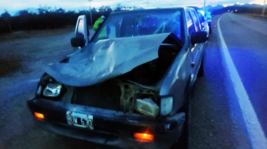 Caballo suelto provoca otro accidente en la ruta