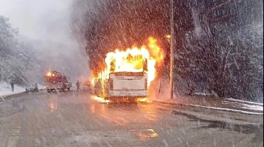 Se incendió un colectivo de la Línea D de Ushuaia