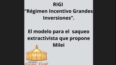 Crítico documento sobre los efectos del RIGI sobre el medio ambiente