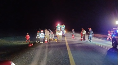 Un guanaco provocó accidente con un herido de consideración