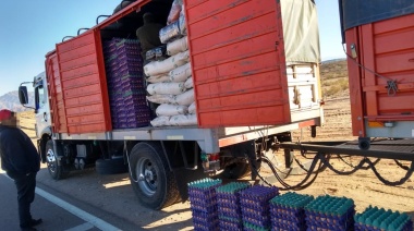 Decomisan 2.700 docenas de huevos que venían a Río Grande