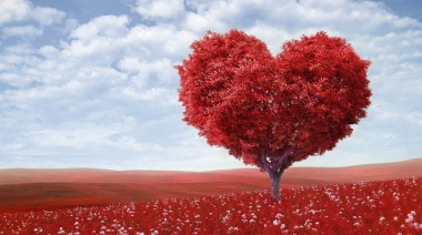 29 de septiembre día Mundial del Corazón