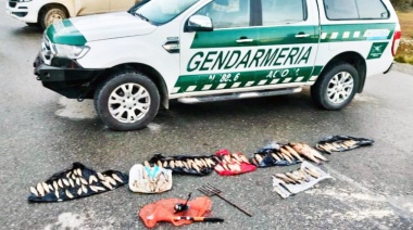 2 millones de pesos de multa para cuatro depredadores