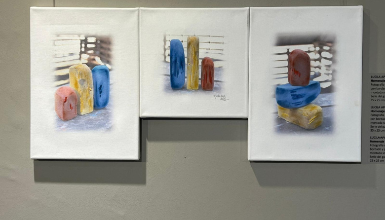 ‘Diapositivas Imaginarias’, una nueva muestra del arte fueguino en Buenos Aires