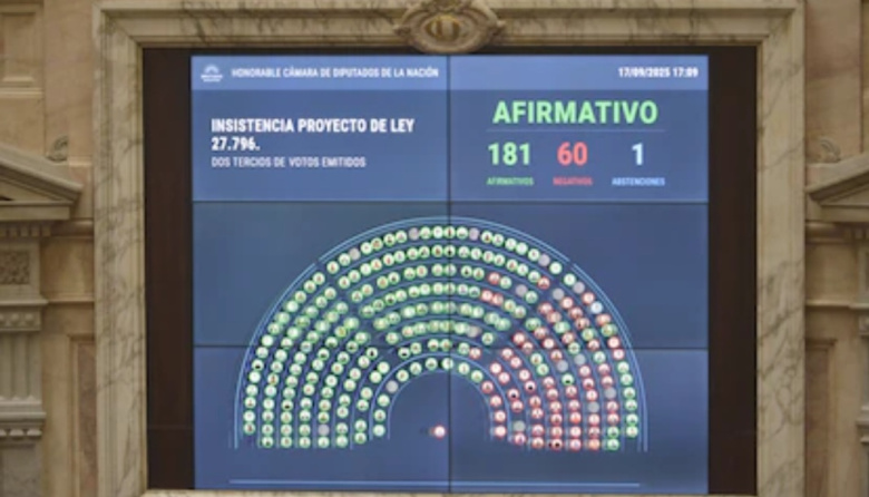 Diputados desoyó los vetos de Milei y ratificó fondos para el Garrahan y las universidades