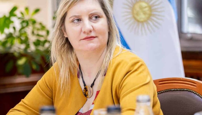 Tierra del Fuego enfrenta un brote leve de coqueluche y la falta de hematólogos en Río Grande