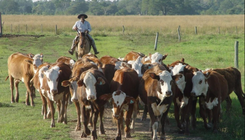 El RENATRE aumenta la prestación por desempleo a $346.500 a partir de diciembre