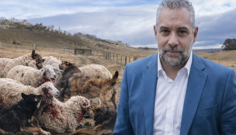 “Estamos ante una emergencia productiva, ambiental y sanitaria”, advirtió el legislador Lapadula