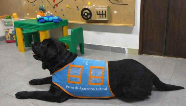 Analizan sumar perros de acompañamiento para las entrevistas con menores en el fuero de familia