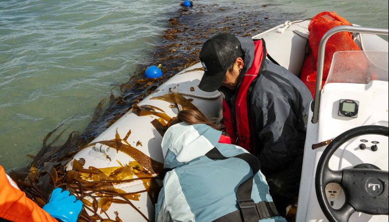 Santa Cruz concretó la primera recolección de algas de cultivo