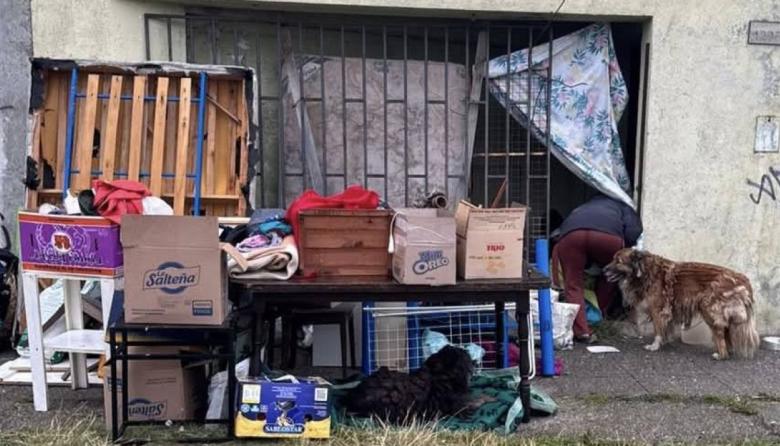 Mujer vive en una carpa con su hijo y sus perritos tras ser desalojada