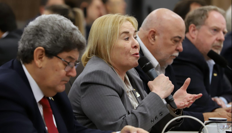 Claudia Fernández llevó al Congreso el reclamo urgente de las PyMEs fueguinas