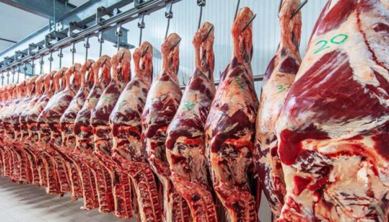 La Justicia habilitó el ingreso de carne con hueso a la Patagonia y levantó la barrera sanitaria