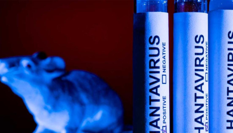 Tierra del Fuego bajo estudio: técnicos del Malbrán salen al campo para buscar rastros del virus