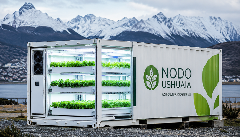 Impulsan en Ushuaia un proyecto para producir verduras con hidroponía y financiamiento digital