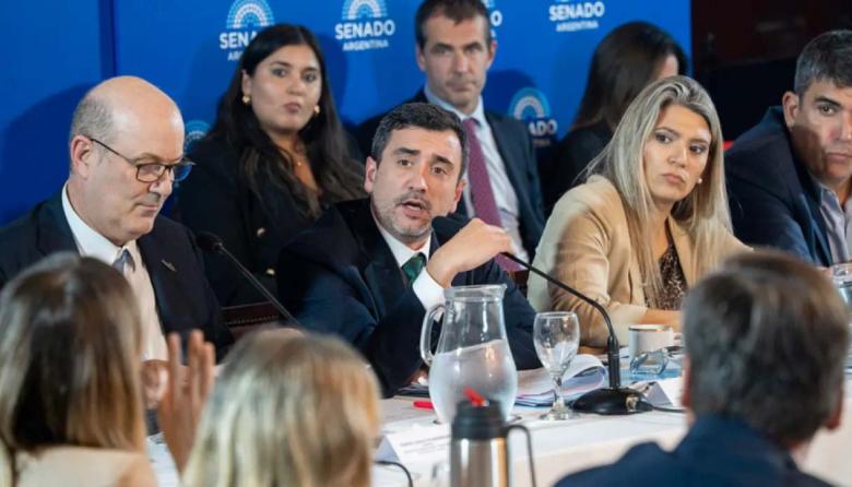 El Senado debate una ley que podría abrir las puertas a la extranjerización de tierras en Argentina