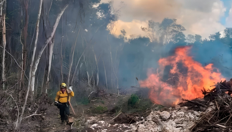 Estudio del CONICET reveló que los incendios deterioran el agua de la Patagonia