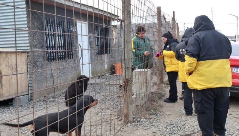Operativos veterinarios en los barrios para promover el cuidado responsable de las mascotas
