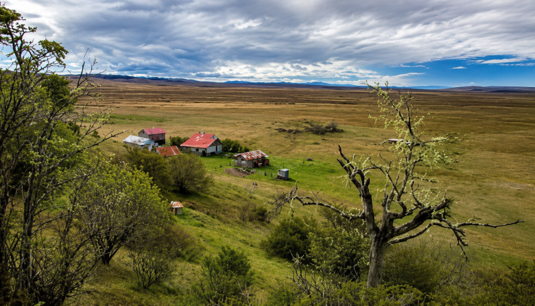 Nuevo esquema para la tierra rural: el Gobierno fijó la hectárea en USD 223,32 y sumó fuertes coeficientes