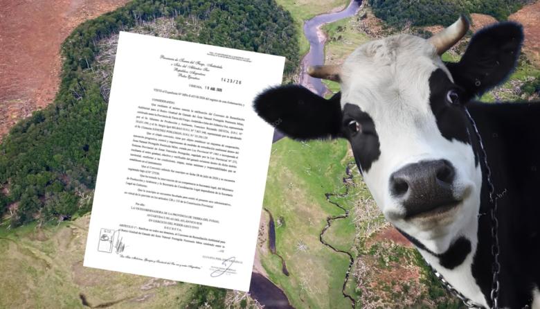 Península Mitre y las vacas: la historia detrás de un acuerdo que deja preguntas abiertas
