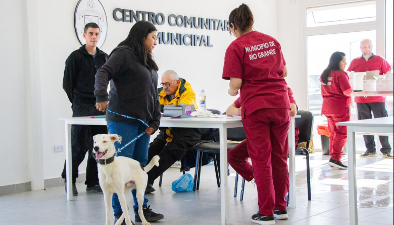 Río Grande propone nuevas herramientas para fortalecer la tenencia responsable de mascotas