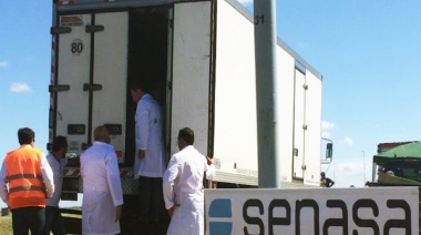 Un camión con alimentos a Ushuaia fue detenido