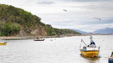 Levantan la veda de moluscos bivalvos en Bahía Brown y Punta Paraná