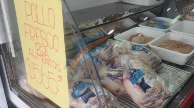 La gripe aviar provoca demoras en la producción de pollos en la Misión Salesiana
