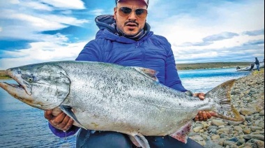 El salmón "Chinook": el pez invasor de la Patagonia que llega a pesar 60 kg